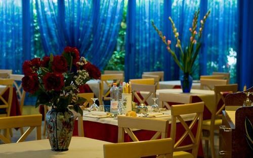 לידו די ג'סולו Hotel Rado מראה חיצוני תמונה